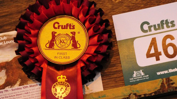 จิลลี วัย 4 ขวบ คว้าแชมป์งานประกวดสุนัขโลกที่อังกฤษ