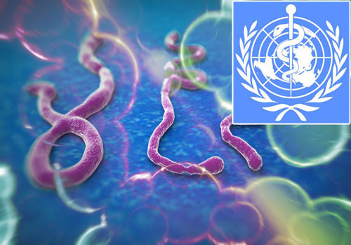 WHO ชี้มีผู้ติดเชื้ออีโบลาอีกราว 5 พันคน ที่ยังไม่มีการรายงาน