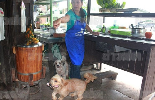 เจ้าแบรี่ สุนัขแสนรู้ ช่วยเจ้าของเก็บ-ทอนเงิน ในร้านอาหาร