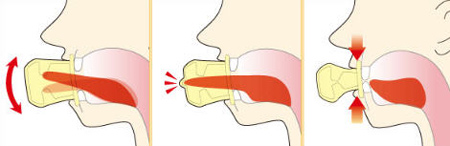 Kuwaete Sukkiri Tongue Exerciser