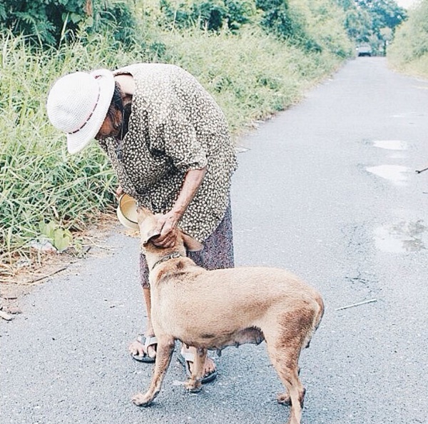 ยายชะอ้อนใจบุญ ให้อาหารหมา แมวกว่า 130 ชีวิต