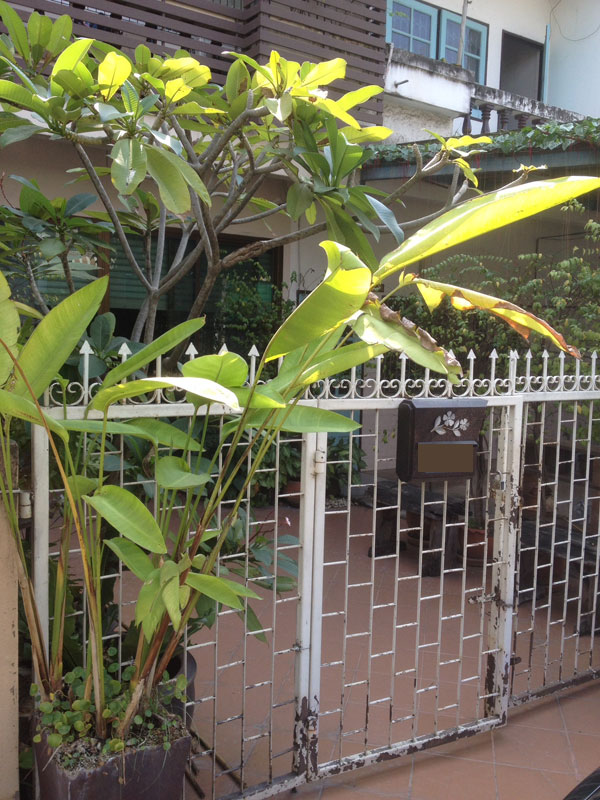รีโนเวทสวยปิ๊ง ตกแต่งหน้าบ้านทาวน์เฮ้าส์ให้น่ามอง