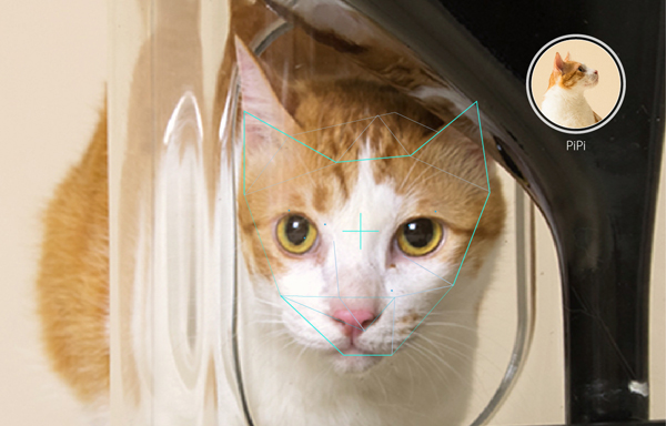 Bistro เครื่องให้อาหารแมวสุดล้ำ คำนวณข้อมูลได้เป็นรายตัว