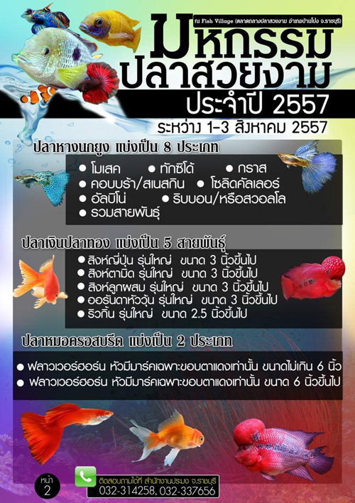 มหกรรมปลาสวยงาม 2557 เริ่ม 1-3 ส.ค. ที่ราชบุรี