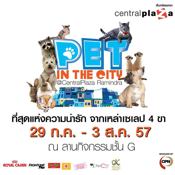 Pet in the City เซ็นทรัลรามอินทรา 29 ก.ค. - 3 ส.ค. 57