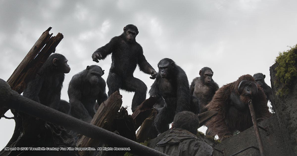 Dawn of the Planet of the Apes ยังครองแชมป์หนังทำเงิน