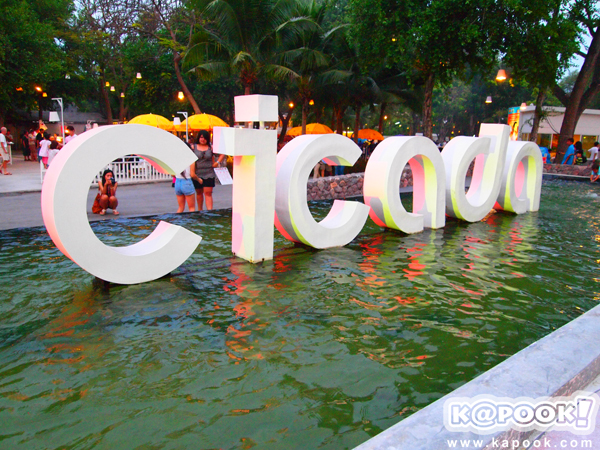ตลาด cicada ตลาด cicada