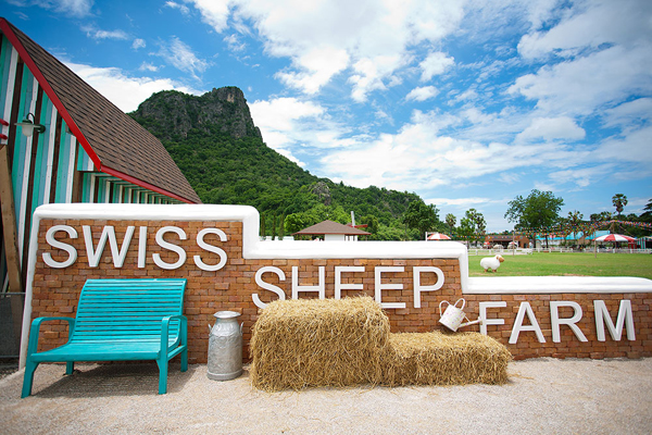 Swiss Sheep Farm