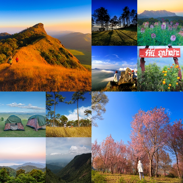 ที่เที่ยวหน้าหนาว