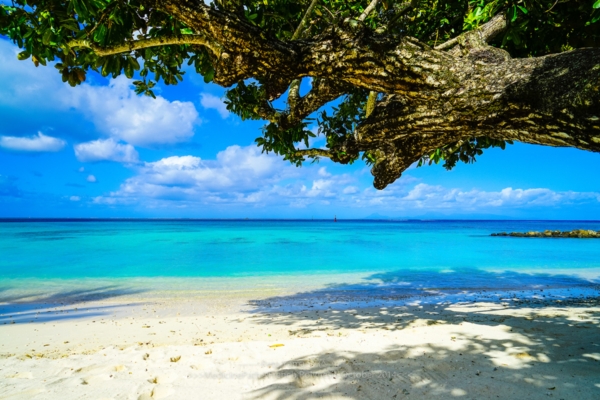 Bora Bora Island