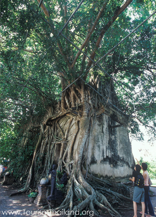 สถานที่ท่องเที่ยวในประเทศไทย