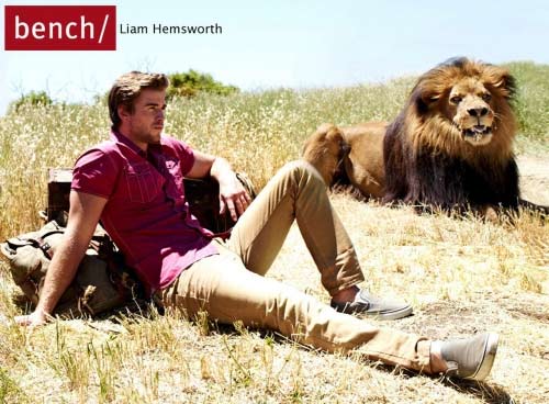 เลียม เฮมสเวิร์ธ ถ่ายแบบคู่สิงโตตัวเป็น ๆ ให้ Bench