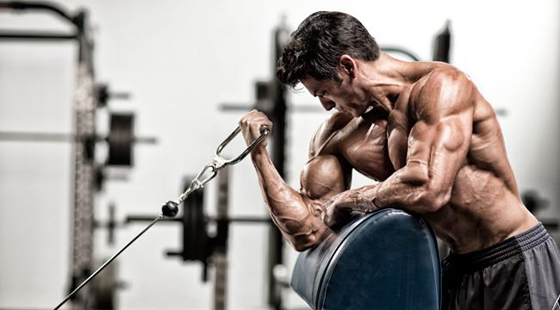  Seated Rope Climb