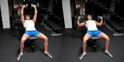  Dumbbell Incline Bench Press