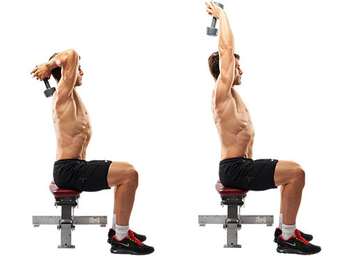 Seated Dumbbell Overhead riceps Extension