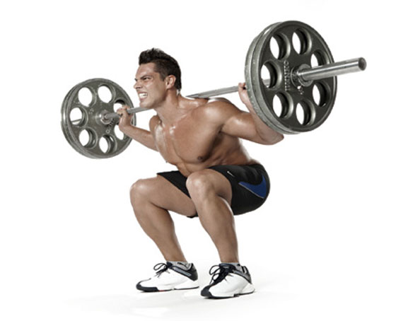 Barbell Squat