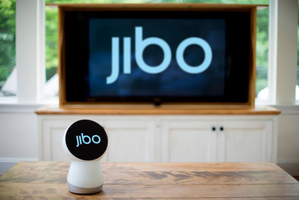 Jibo