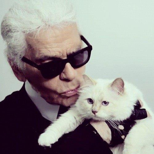 Choupette Lagerfeld ดีไซเนอร์ชาแนล เผย หลงรักแมวในอาณัติถึงขั้นอยากแต่งงานด้วย