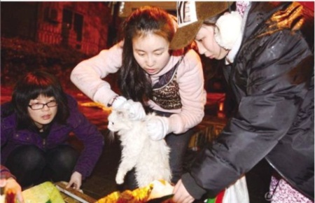 น่าสงสาร! อาสาสมัครชาวจีนช่วยชีวิตแมวนับ 1,000 ก่อนขึ้นเขียง
