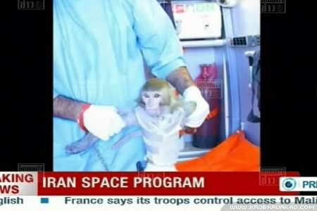 อิหร่านประสบความสำเร็จ ส่งลิงขึ้นสู่อวกาศอย่างปลอดภัย
