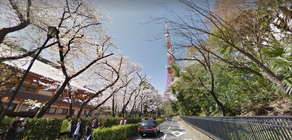 กูเกิลเปิดหน้าเว็บ ชมดอกซากุระบานในญี่ปุ่นผ่าน Street View